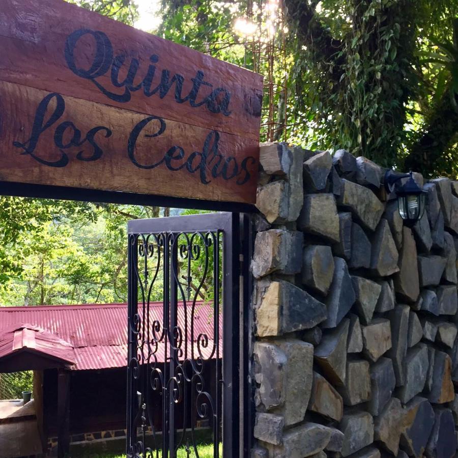 Finca Quinta Los Cedros Xilitla Extérieur photo